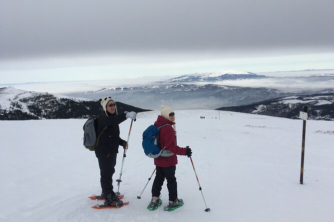 Full-day Vitosha Mountain Snowshoe Hiking Tour from Sofia - What the $94.63 price really covers