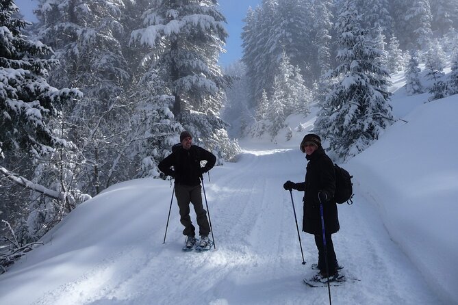 Full-day Vitosha Mountain Snowshoe Hiking Tour from Sofia - Snowshoeing toward Cherni Vrah
