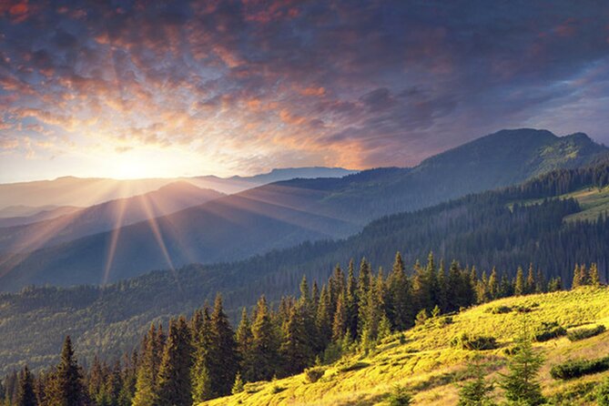 Half day adventure - Nevsky, Vitosha Hoof, Boyana and Horse Ride - Why this half-day tour works so well