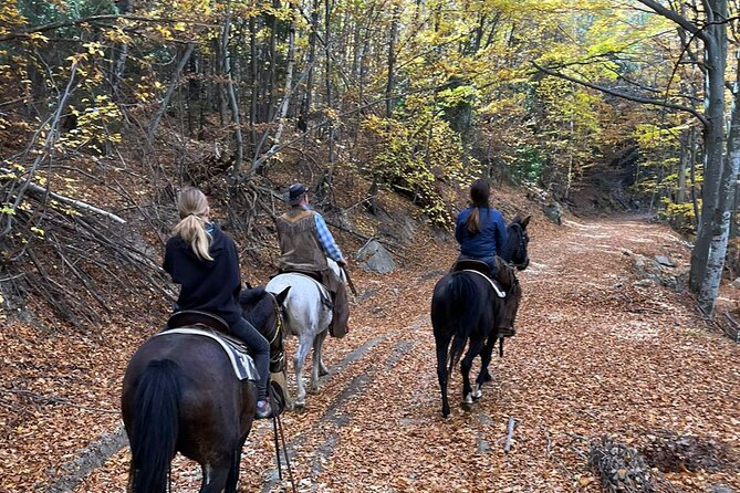 Half day adventure - Nevsky, Vitosha Hoof, Boyana and Horse Ride - Kopitoto TV Tower, cliffs, and the old lift station