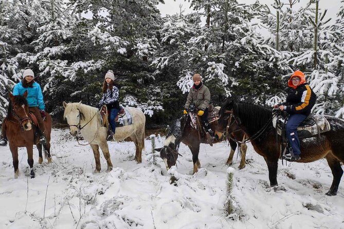 Half day adventure - Nevsky, Vitosha Hoof, Boyana and Horse Ride - Rado’s guiding style and the personal touches