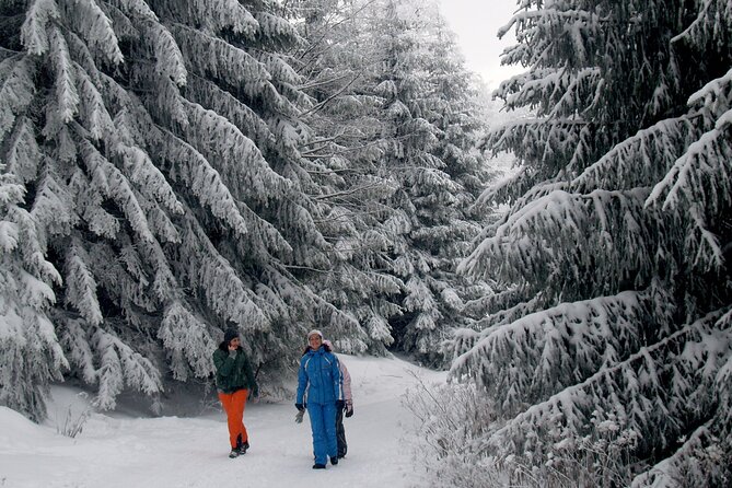 Hike in The Central Balkan National Park - Fitness, weather, and what to pack