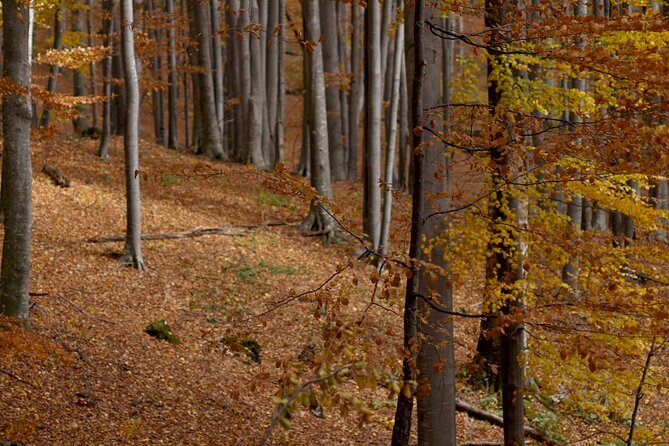 Hike in The Central Balkan National Park - Sleeping in two Bulgarian mountain huts