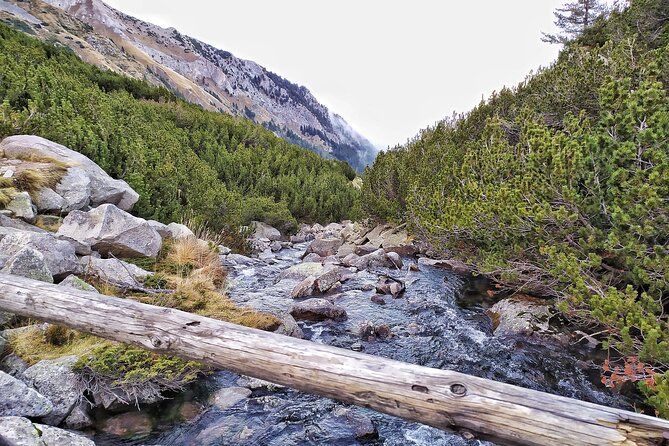Hiking in Pirin- the UNESCO World Heritage Natural Park with a visit of Bansko - Who will enjoy this day most