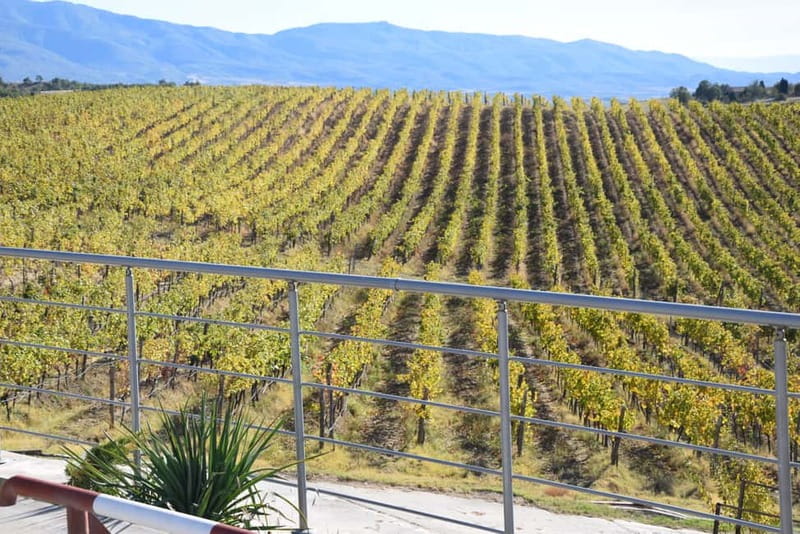 Melnik Wine Tour - The 8:30 AM pickup and the long road south
