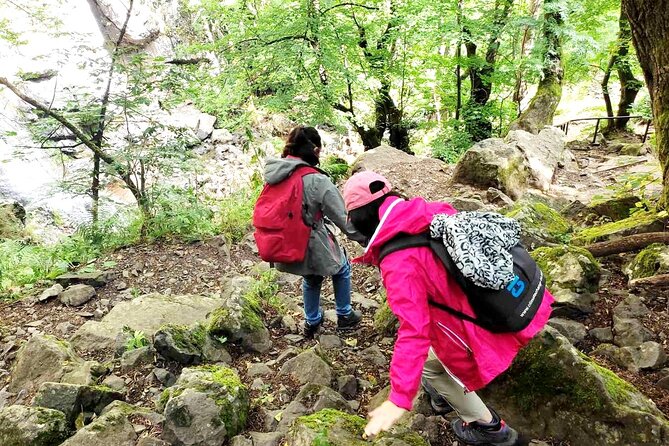 Mt. Vitosha and Boyana Waterfall Hiking Tour from Sofia - Key points before you book