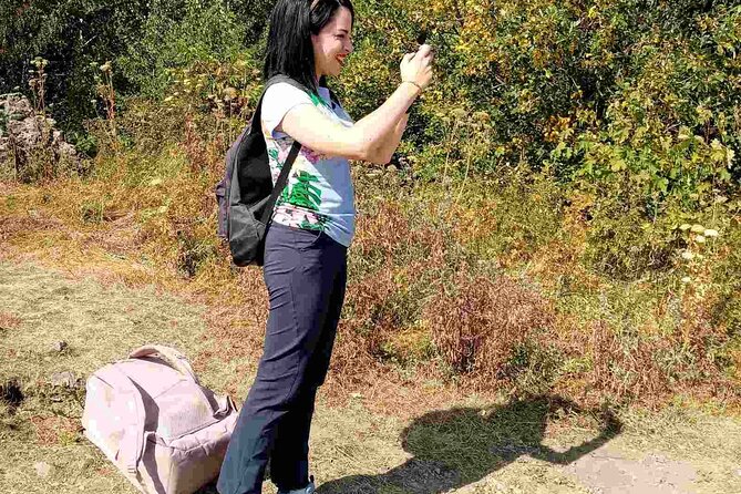 Mt. Vitosha and Boyana Waterfall Hiking Tour from Sofia - Why Vitosha makes a strong day trip from Sofia