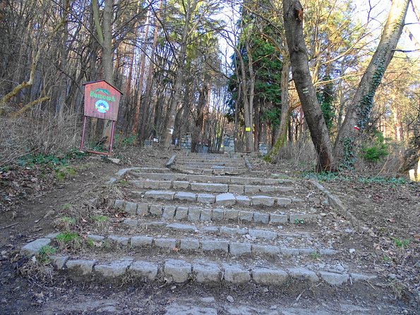 Mt. Vitosha and Boyana Waterfall Hiking Tour from Sofia - What the guides add to the day