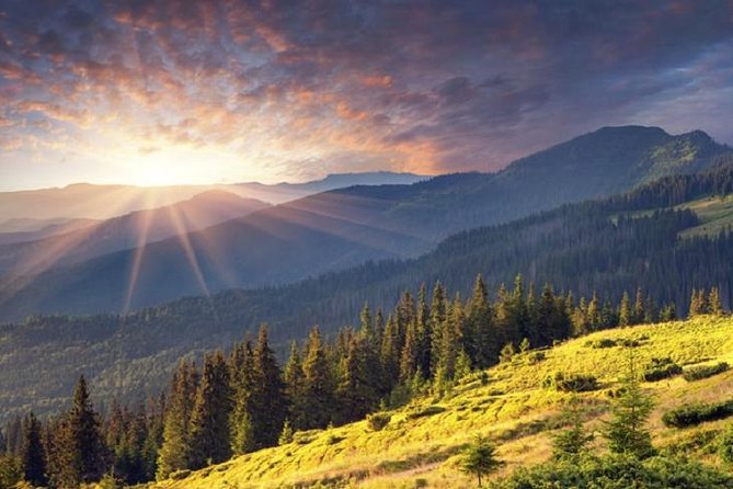 Mt. Vitosha and Boyana Waterfall Hiking Tour from Sofia - Food, breaks, and the mountain café