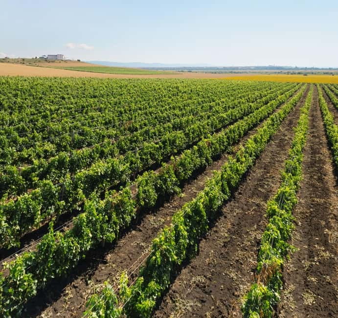 Nessebar: Guided Tour in English with Wine Tasting - A closer look at the $50 value