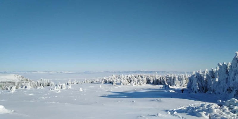 One-Day Hiking with Snowshoes on Vitosha - Golden Bridges: learning the snowshoe basics