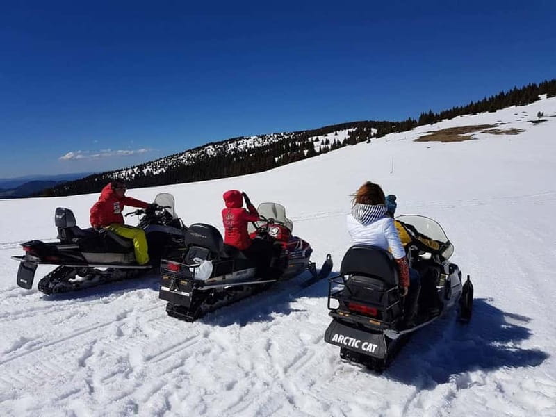 Pamporovo Perelik Peak: Superb Snowmobile Safari - Forest trails with a short photo stop