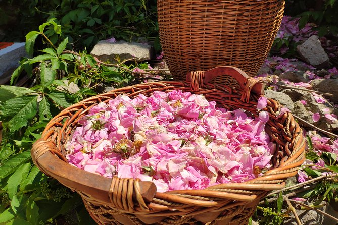Picking Roses Workshop & Extracting Rose Oil in the Rose Valley - Learning the old-house distilling process