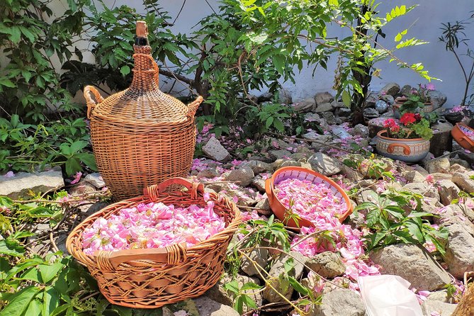 Picking Roses Workshop & Extracting Rose Oil in the Rose Valley - Karlovo Old Town and Damascena near Kazanlak