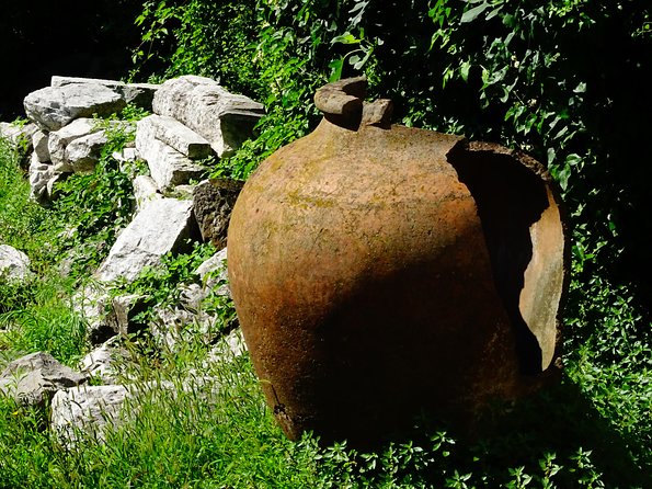 Plovdiv and Bachkovo Monastery tour from Sofia - The guide matters more than the vehicle