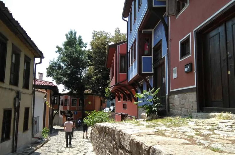 Plovdiv and Bachkovo: Private Full-Day Tour from Sofia - The guide can shape the whole experience