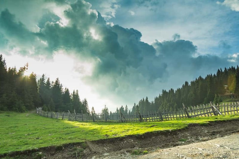 Plovdiv: Central Balkan National Park Guided Hike - Key points to know before booking