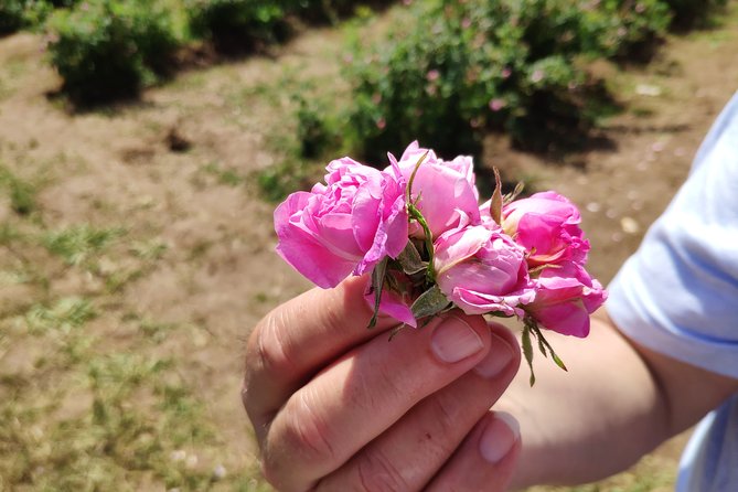 Private Access Rose Festival Kazanlak 05-07.06.2025 - Key points to know before booking