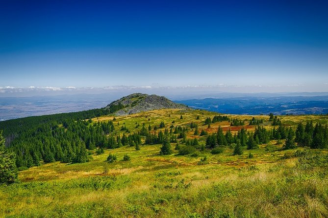 Private Day Trip to the Vitosha Mountain and Pancharevo Lake - What the private format changes