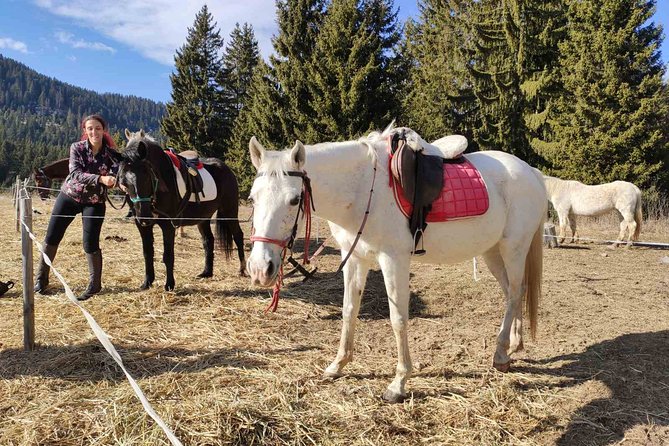 Private Horse Riding in the Balkan from Sofia - What the riding instruction is really like