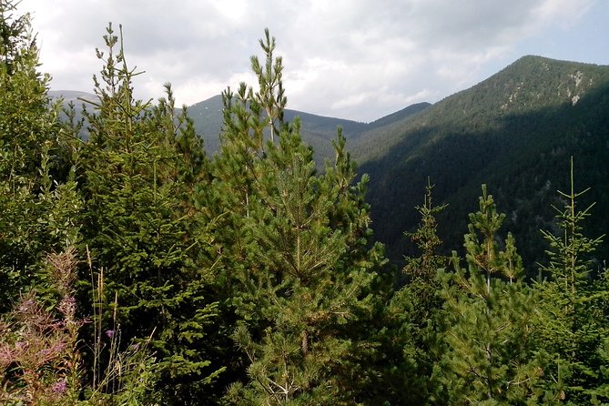 Private Horse Riding in the Balkan from Sofia - Teteven: forests, hills, and open mountain air