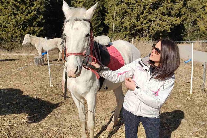 Private Horseback Riding the Rila Range - Who will enjoy this ride most