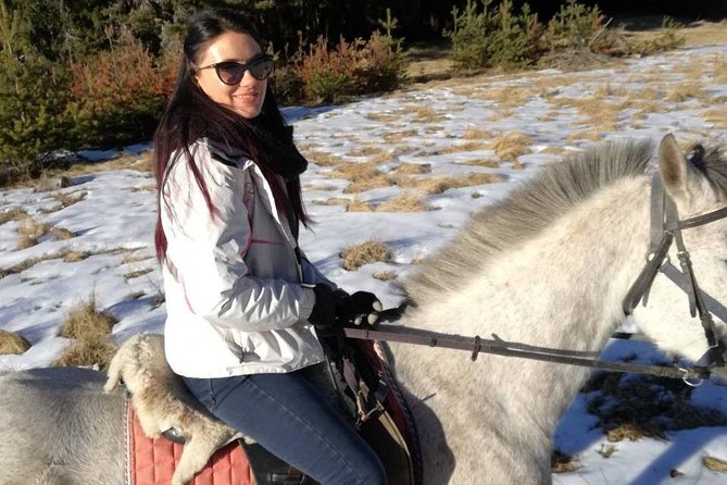 Private Horseback Riding the Rila Range - Meeting the horses and choosing your pace