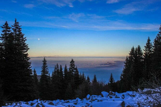 Private Mountain Biking in Vitosha from Sofia - Key Points Before You Book