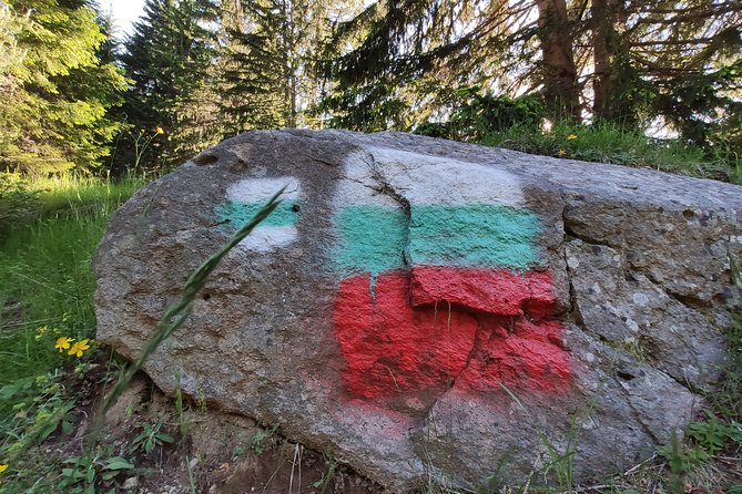 Private Mountain Biking in Vitosha from Sofia - What Is Included, and What You Still Need