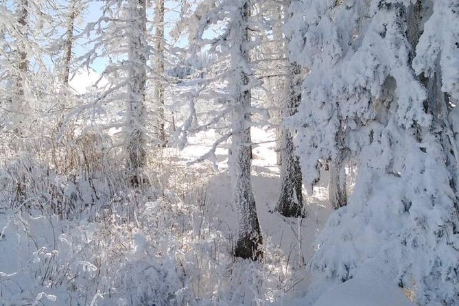 Private Vitosha Mountains Hiking with Black peak & Dragalevtsi Monastery - The summit break and the return journey