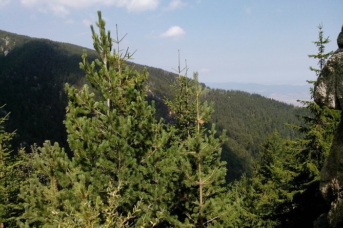 Private Vitosha Mountains Hiking with Black peak & Dragalevtsi Monastery - Timing, group size, and guide quality