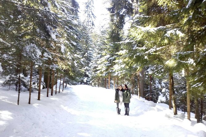 Private Winter Day Trip to the Rila Mountain - Borovets: the main base for winter activities