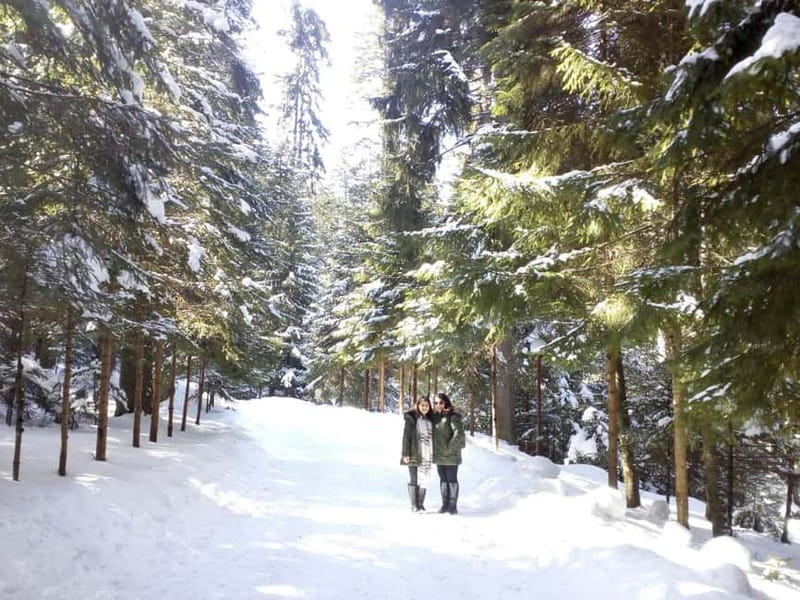 Rila Mountain Winter Day Trip - Choosing between skis, the cabin lift, and the fortress