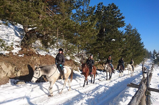 Rila National Park Horse Riding Adventure - Guides Who Keep the Group Moving