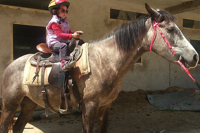 Rila National Park Horse Riding Adventure - Staying for Food After the Ride