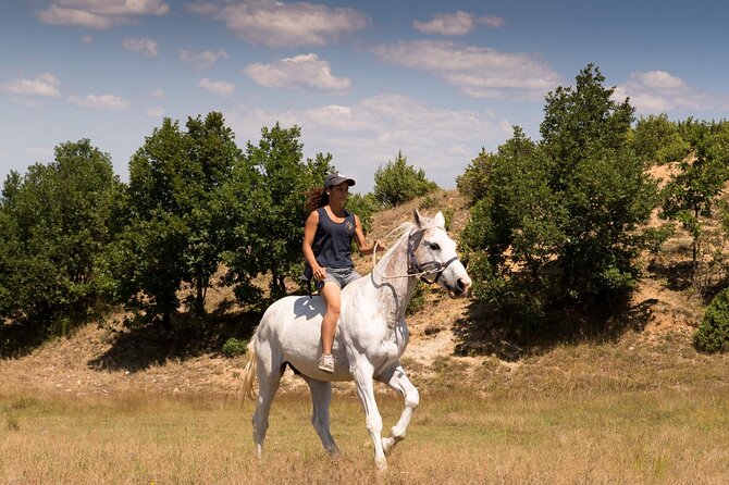 Rila National Park Horse Riding Adventure - Booking, Cancellation, and Practical Planning