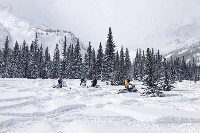 Ski-doo Snow Safari in Borovets - Starting at the Borovets meeting point
