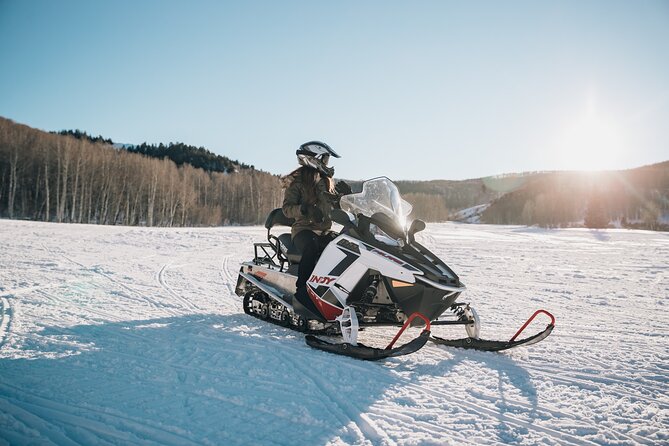 Ski-doo Snow Safari in Borovets - Who will enjoy this safari most