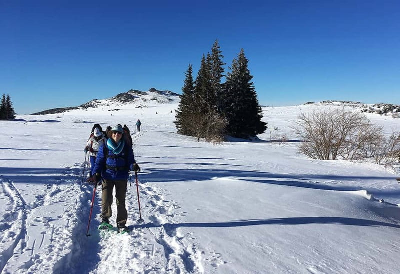Sofia: Black Peak-Vitosha Mountain Snowshoeing Day Trip - Key points to know before you go