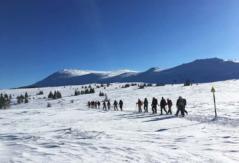 Sofia: Black Peak-Vitosha Mountain Snowshoeing Day Trip - The two-hour climb to Cherni Vruh