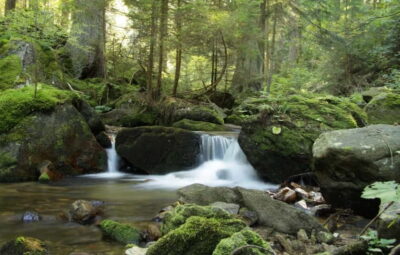Lovech, Devetaki Cave and Krushuna Waterfalls Tour