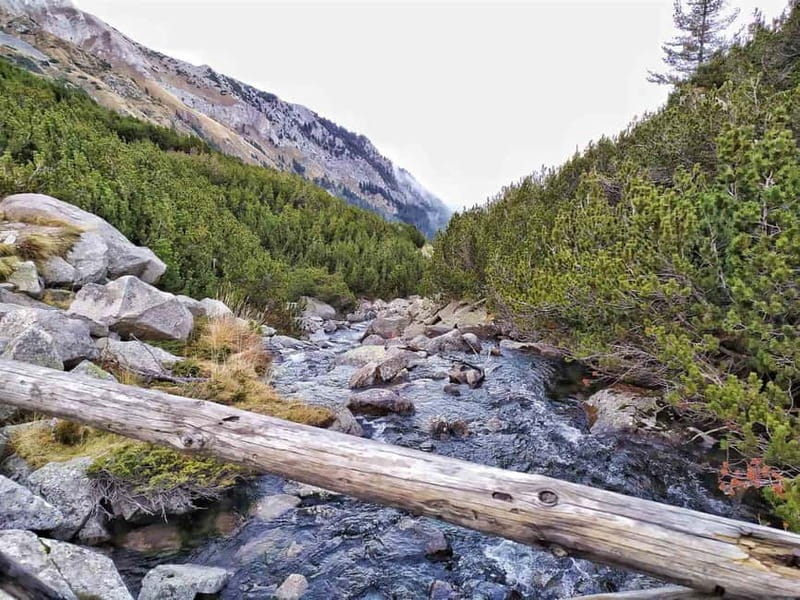 Sofia: Pirin National Park Hike & Bansko Visit - What the Banderishki Lakes add to the walk