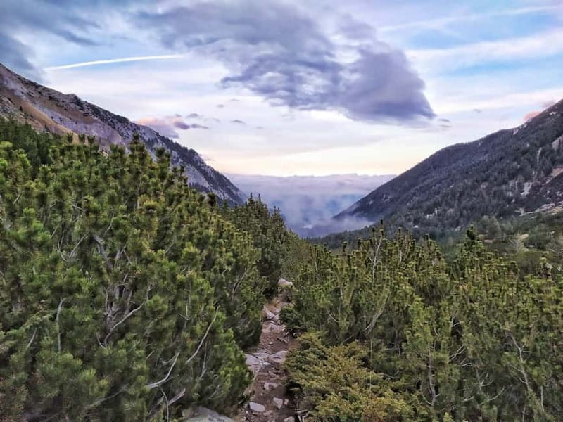 Sofia: Pirin National Park Hike & Bansko Visit - Is the $111 price fair?