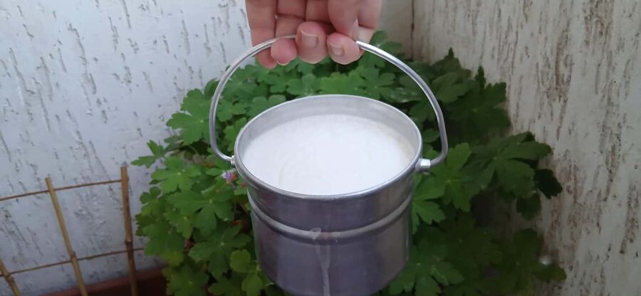 Sofia: Taste Bulgarian Yogurt Kiselo Mlyako in a Family Home - Key points about this Sofia yogurt experience