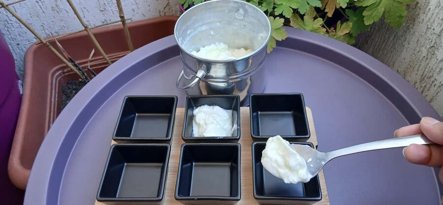 Sofia: Taste Bulgarian Yogurt Kiselo Mlyako in a Family Home - Comparing cow, sheep, buffalo, and goat yogurt