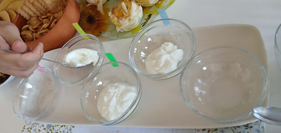 Sofia: Taste Bulgarian Yogurt Kiselo Mlyako in a Family Home - Value at $53 per person