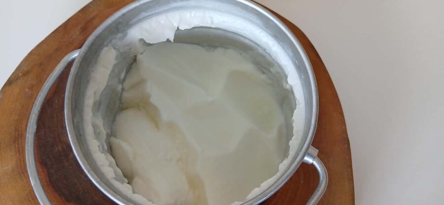 Sofia: Taste Bulgarian Yogurt Kiselo Mlyako in a Family Home - Why Bulgarian yogurt matters