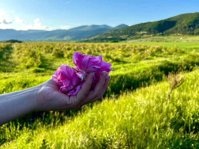 Sofia:The Highlights of Bulgaria - Rose Valley and Buzludzha - Why this Sofia day trip is worth your time