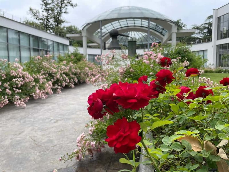 Sofia:The Highlights of Bulgaria - Rose Valley and Buzludzha - Is $124 a fair price from Sofia?