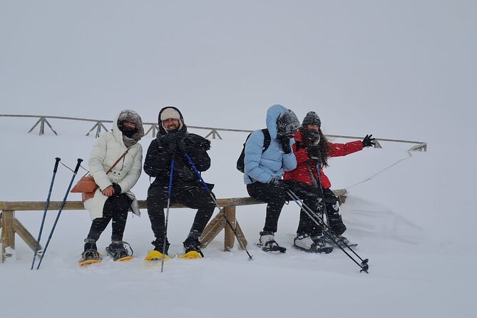 Sofia to Vitosha National Park Snowshoe Hike with Lunch time - A relaxed two-hour snowshoe walk